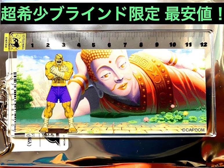 ストリートファイターZERO カードリュウサガット